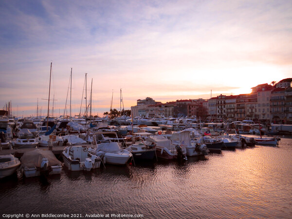  Cannes marina at sunset Picture Board by Ann Biddlecombe