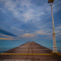 Buy canvas prints of Jetty to nowhere  by Ann Biddlecombe