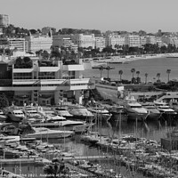 Buy canvas prints of Monochrome Cannes Millionaires row by Ann Biddlecombe