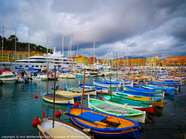 Pretty colorful boats in Nice marina Picture Board by Ann Biddlecombe