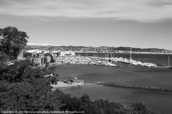 View of Port de la Napoule in Monochrome Picture Board by Ann Biddlecombe