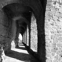 Buy canvas prints of The arches of Château de la Napoule in monochrome by Ann Biddlecombe