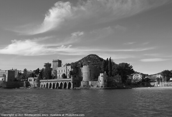 A view of the Chateau from the harbor in monochrom Picture Board by Ann Biddlecombe