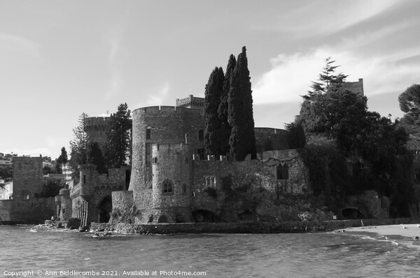 A view of the Chateau from the beach in monochrome Picture Board by Ann Biddlecombe