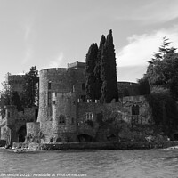 Buy canvas prints of A view of the Chateau from the beach in monochrome by Ann Biddlecombe