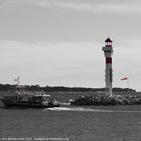 Buy canvas prints of Ferry and lighthouse in cannes in monochrome and red by Ann Biddlecombe