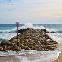 Buy canvas prints of No diving its a little rough by Ann Biddlecombe