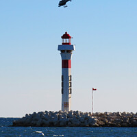 Buy canvas prints of Helicopter above the Lighthouse by Ann Biddlecombe