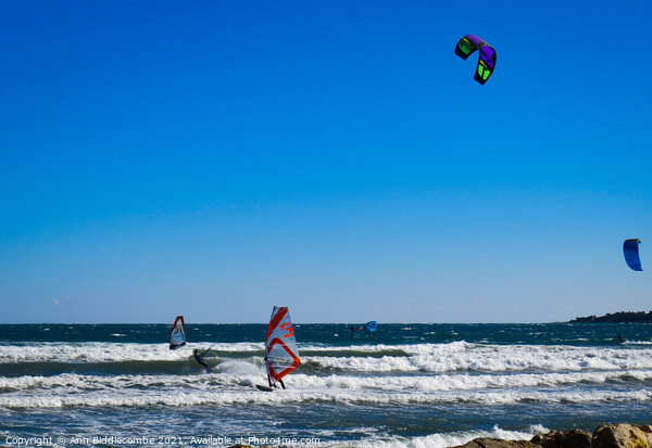  Windsurfers and Kite surfers  at Palm Beach Picture Board by Ann Biddlecombe