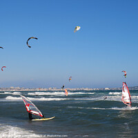 Buy canvas prints of windsurfers and kite surfers on Palm beach by Ann Biddlecombe