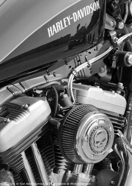 Harley Davidson motorbike engine Picture Board by Ann Biddlecombe