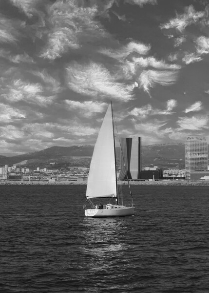 lone sailing boat on the coast of Marseille in mon Picture Board by Ann Biddlecombe
