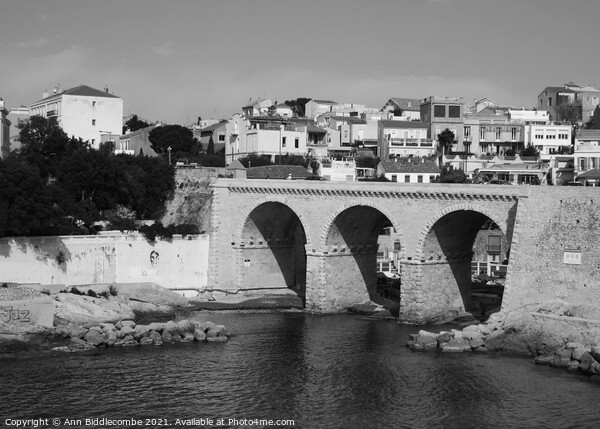 Bridge on the coast of Marseille in monochrome Picture Board by Ann Biddlecombe