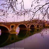 Buy canvas prints of Pont-Neuf bridge over the Garonne river in Toulous by Ann Biddlecombe