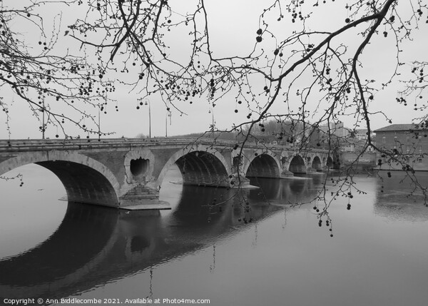 Black and white, Pont-Neuf bridge over the Garonne river in Toulouse  Picture Board by Ann Biddlecombe