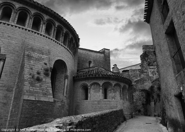 A street in Saint-Guilhem-le-Désert in black and white Picture Board by Ann Biddlecombe