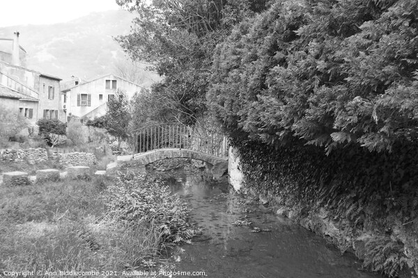 Little bridge over the stream in black and white Picture Board by Ann Biddlecombe