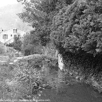 Buy canvas prints of Little bridge over the stream in black and white by Ann Biddlecombe