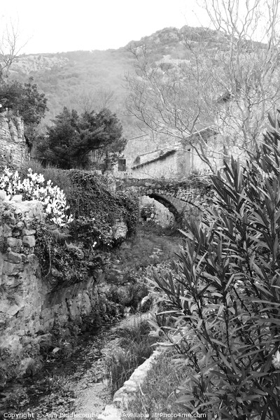 A garden with a bridge over the stream in black and white Picture Board by Ann Biddlecombe