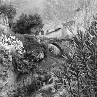 Buy canvas prints of A garden with a bridge over the stream in black and white by Ann Biddlecombe