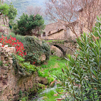 Buy canvas prints of A garden with a bridge over the stream by Ann Biddlecombe