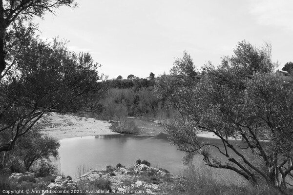 A view from Pont du Diable - Devils Bridge in monochrome Picture Board by Ann Biddlecombe