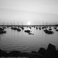 Buy canvas prints of Sunrise over the outer harbor in Brixham in monochrome by Ann Biddlecombe