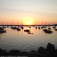 Buy canvas prints of Sunrise over the outer harbor in Brixham from the rocks by Ann Biddlecombe