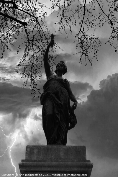 Statue de la liberte in black and white Picture Board by Ann Biddlecombe