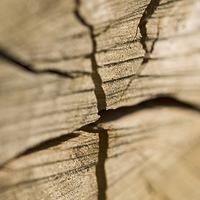 Buy canvas prints of Wooden log by Paul Fleet