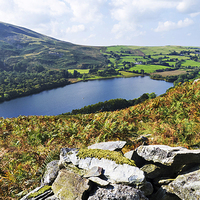 Buy canvas prints of Loweswater from Darling Fell, Lake District, Cumbr by Steven Garratt