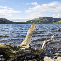 Buy canvas prints of Up Crummock Water, Lake District, Cumbria by Steven Garratt