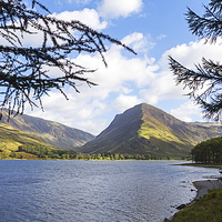 Buy canvas prints of Fleetwith Pike and Buttermere from Burtness Wood by Steven Garratt