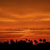 Buy canvas prints of Marrakesh Sunset by Peta Thames
