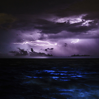 Buy canvas prints of Ocean Lightning by Peta Thames