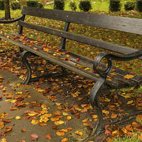 Buy canvas prints of  Autumn Bench. by Peter Bunker