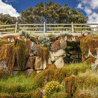 Buy canvas prints of  Ornamental Garden and Bridge.  by Peter Bunker