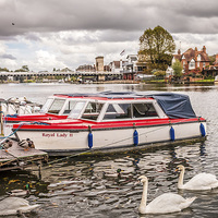 Buy canvas prints of  The Thames at Marlow.  by Peter Bunker