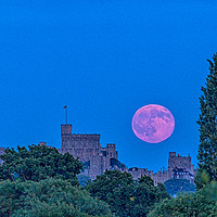 Buy canvas prints of Strawberry Moon.  by Peter Bunker