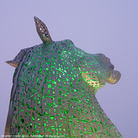 Buy canvas prints of The Kelpies by Stephen Taylor