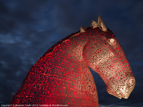 The Kelpies at Night Picture Board by Stephen Taylor