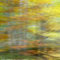 Buy canvas prints of Autumn Motion by Stephen Taylor