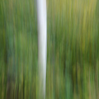 Buy canvas prints of Tree ICM by Stephen Taylor