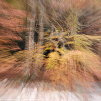 Buy canvas prints of abstract autumn colours by Stephen Taylor