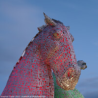 Buy canvas prints of Kelpies at night by Stephen Taylor