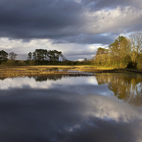 Buy canvas prints of Helensburgh Duck Pond by Stephen Taylor