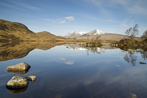 Lochan na h-Achlaise Rannoch Moor Picture Board by Stephen Taylor
