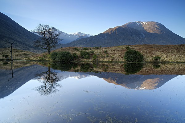 Glen Etive in Spring Picture Board by Stephen Taylor