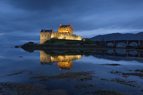 Eilean Donan at night Picture Board by Stephen Taylor