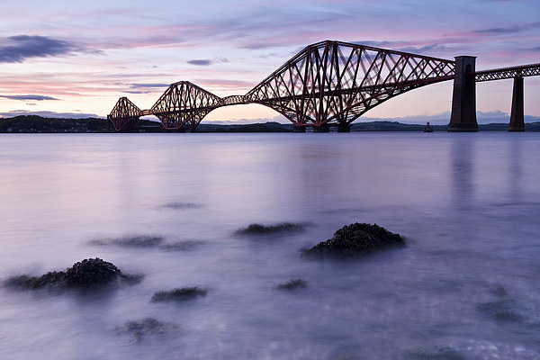 Forth Rail Bridge at dusk Picture Board by Stephen Taylor